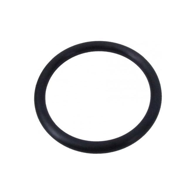 Daishin Pump Spare Part SMD80 O Ring (Bottom Of Pulsation Chamber)