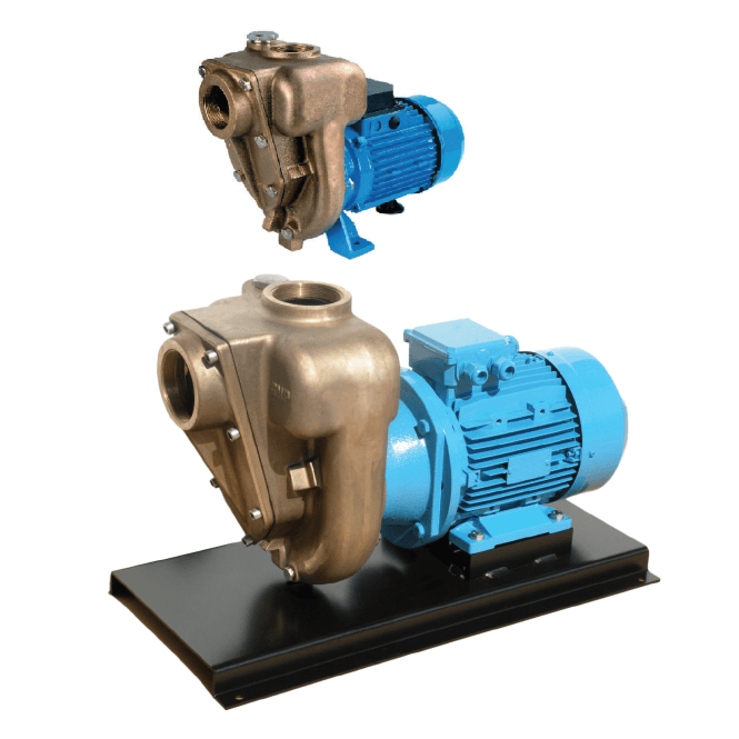 GMP Electric Driven Bronze Self Priming Pumps